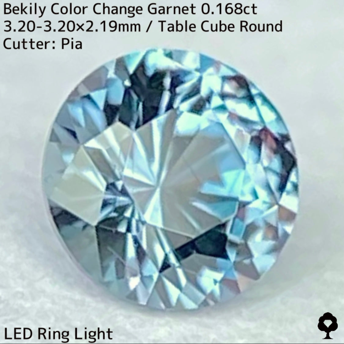 Color Change Garnet 0.168ct / Bekily(Madagascar)
