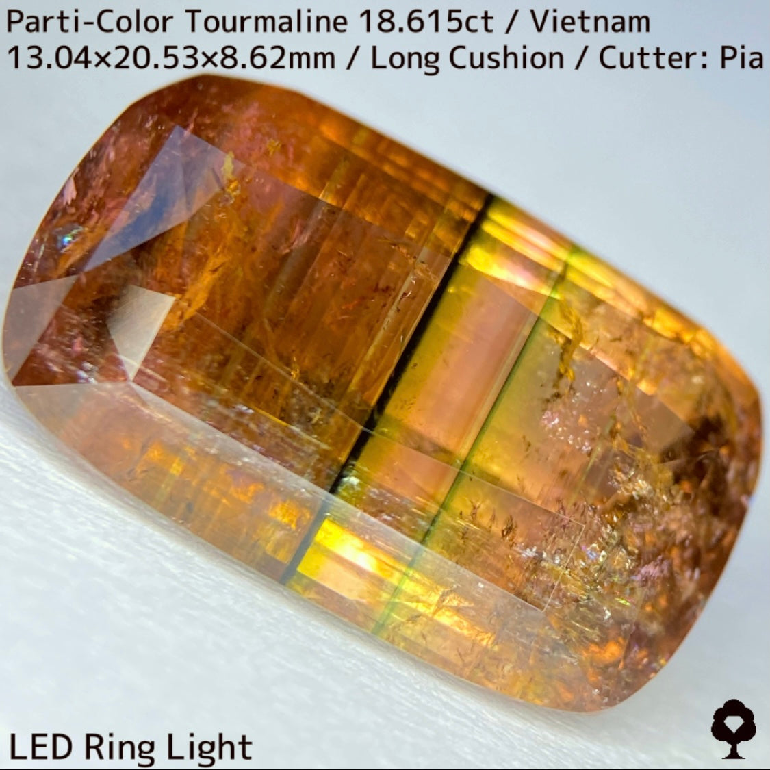 Parti-Color Tourmaline 18.615ct / Vietnam / Long Cushion