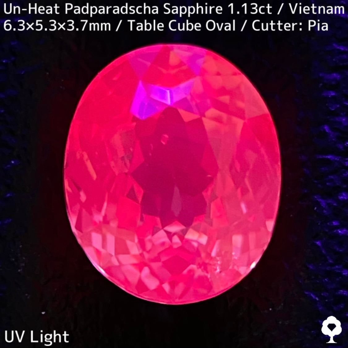 Un-Heat Padparadscha Sapphire 1.136ct / Vietnam