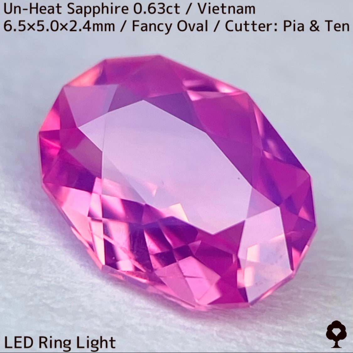 Un-Heat Sapphire 0.63ct / Vietnam