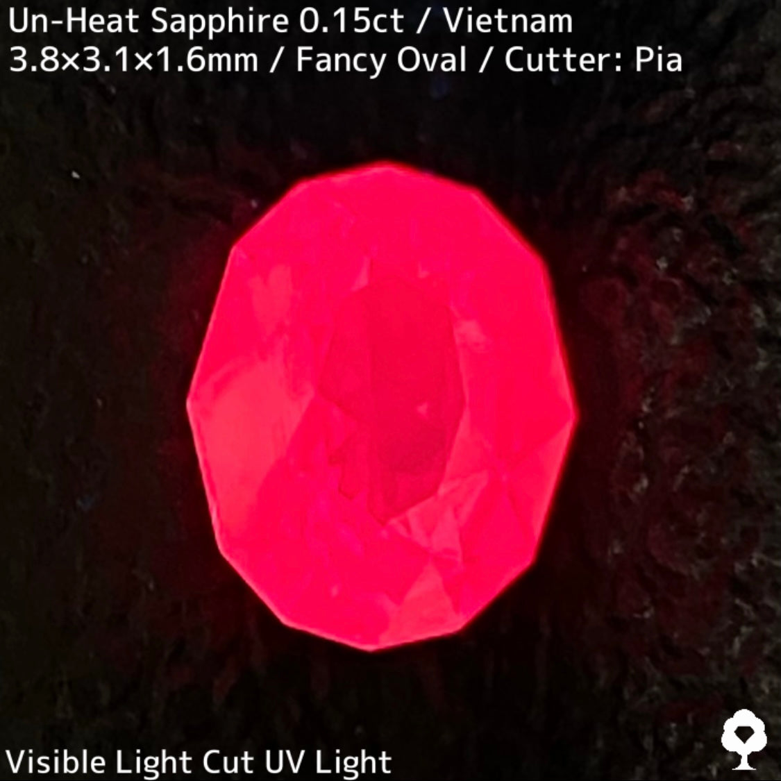 【ご当選者さま専用】ベトナム産非加熱サファイア0.15ct★小粒に詰まった美色ネオンシルキーピンクは必見