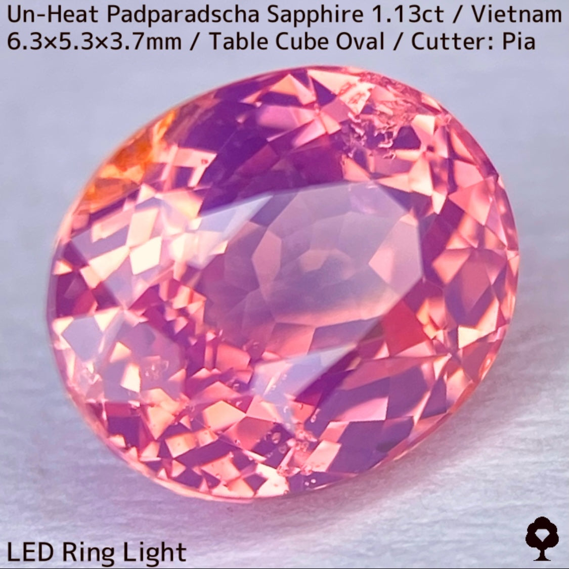 Un-Heat Padparadscha Sapphire 1.136ct / Vietnam