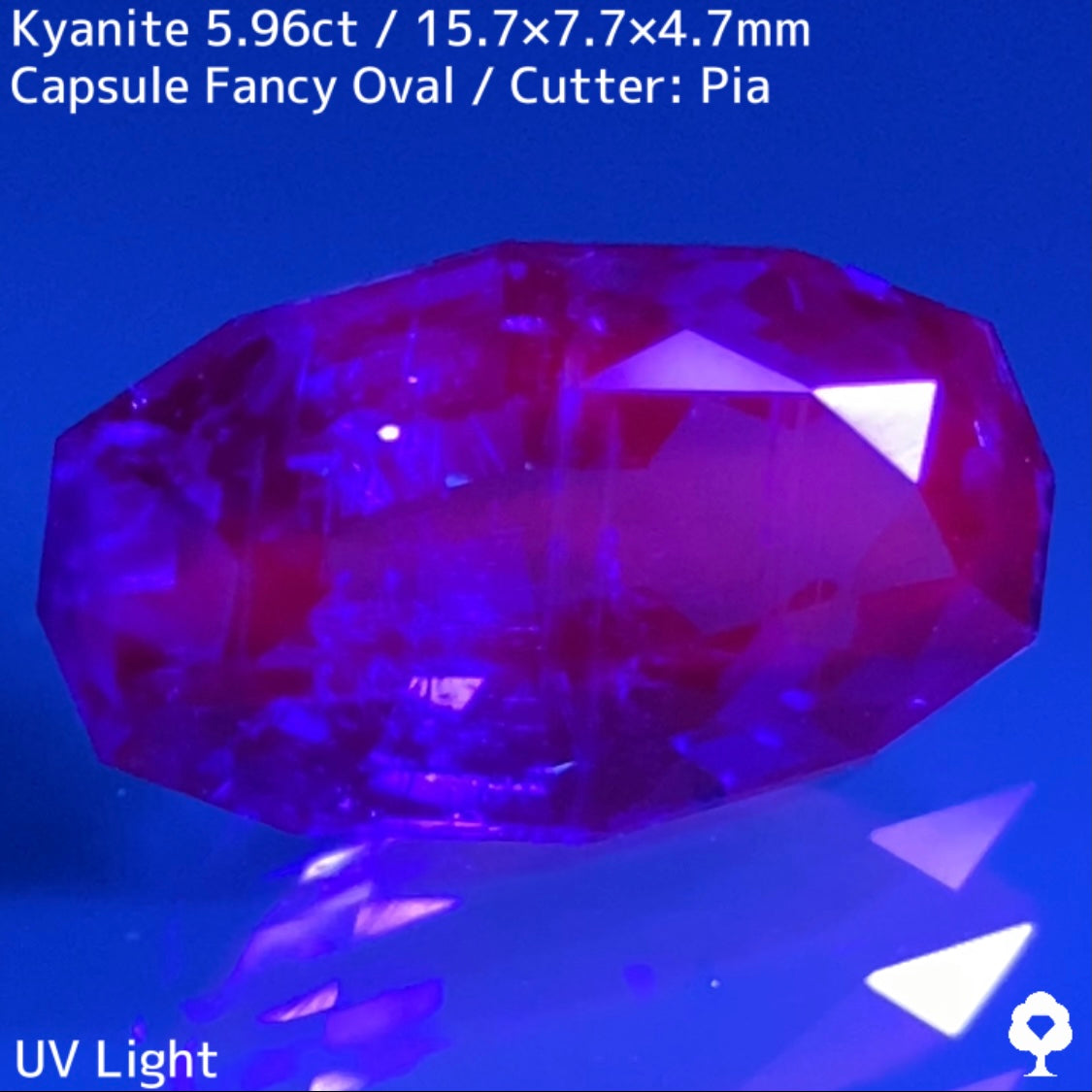 Kyanite 1.88ct / Nepal