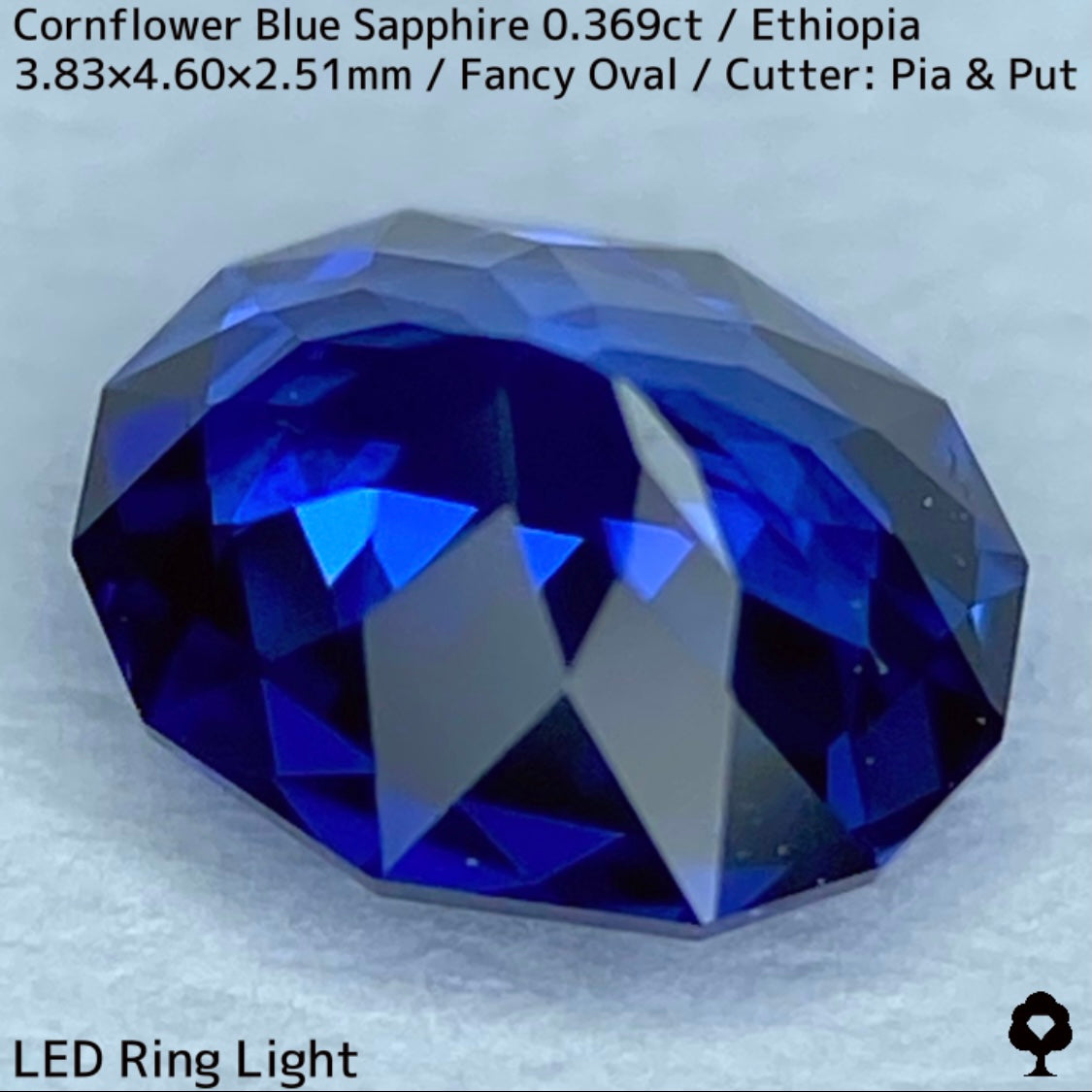 Ethiopian cornflower blue sapphire 0.369ct ★ Vivid and gorgeous, clear, beautiful crystal cut ★ Comes with 0.88ct rough stone