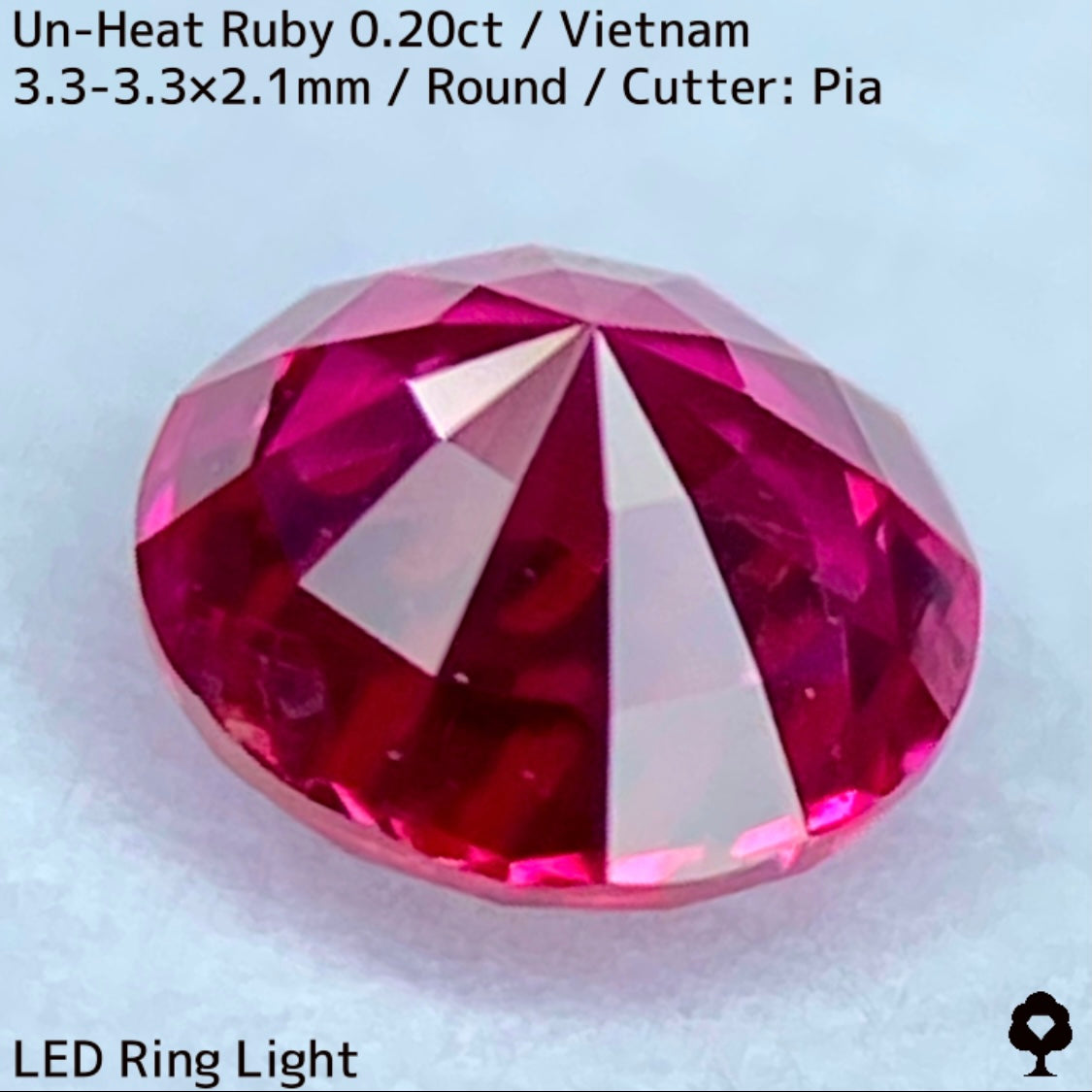 Un-Heat Ruby 0.20ct / Vietnam
