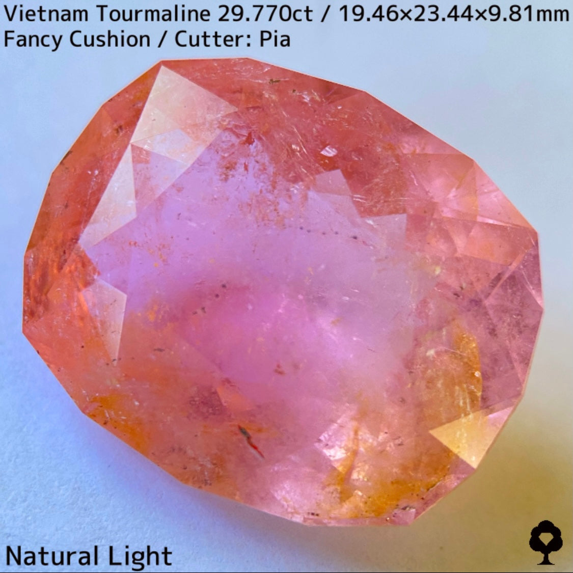 Tourmaline 29.770ct / Vietnam