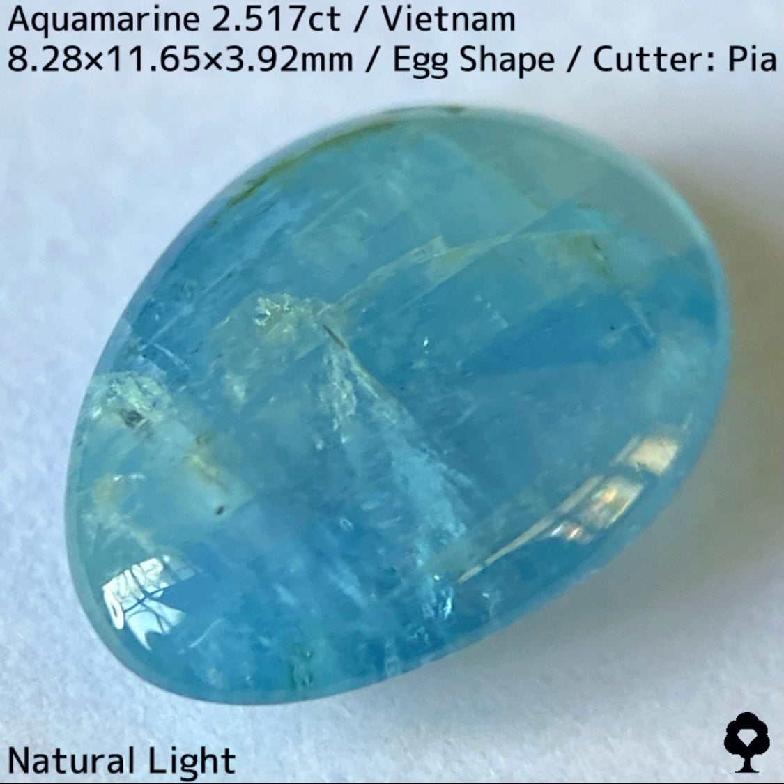 Aquamarine 2.517ct / Vietnam