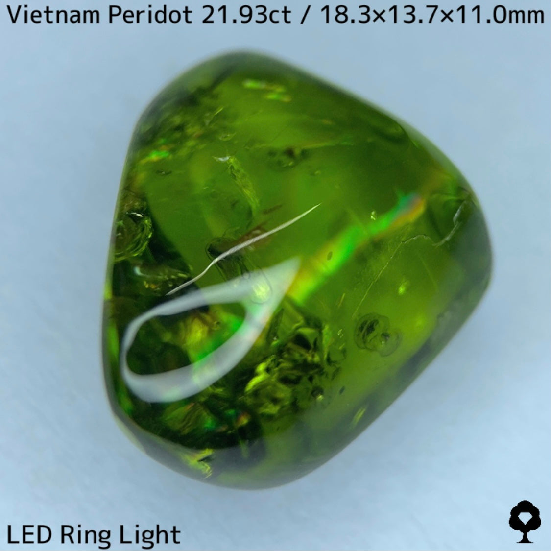 Peridot 21.93ct / Vietnam / Rough stone