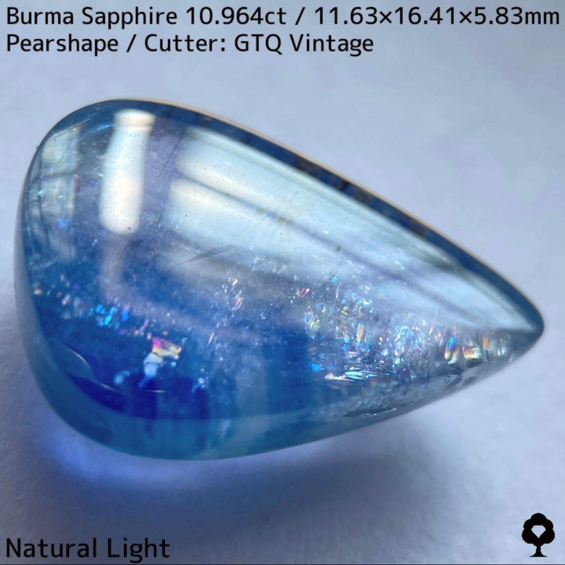 Sapphire 10.964ct / Burma / Cabochon