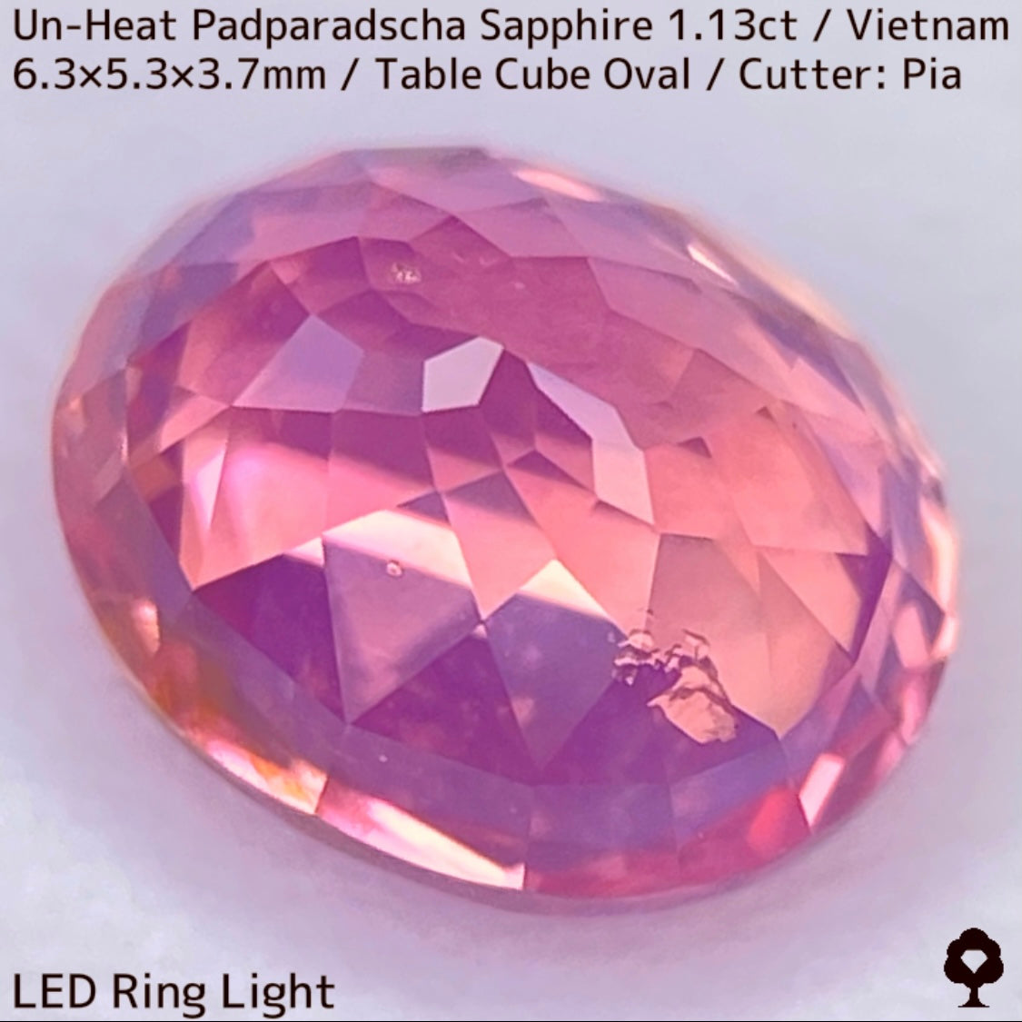 Un-Heat Padparadscha Sapphire 1.136ct / Vietnam