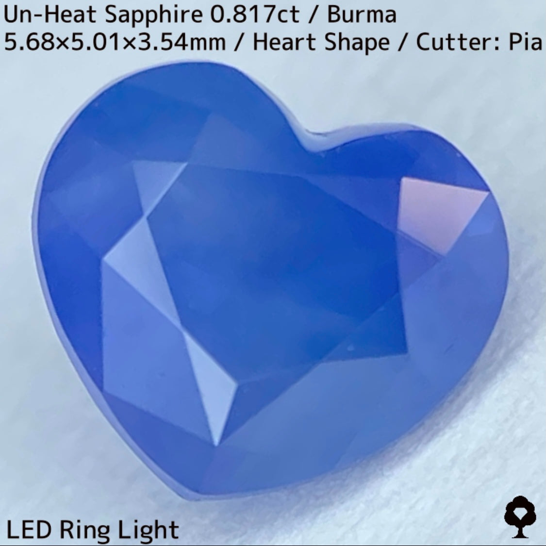 Un-Heat Sapphire 0.817ct / Burma