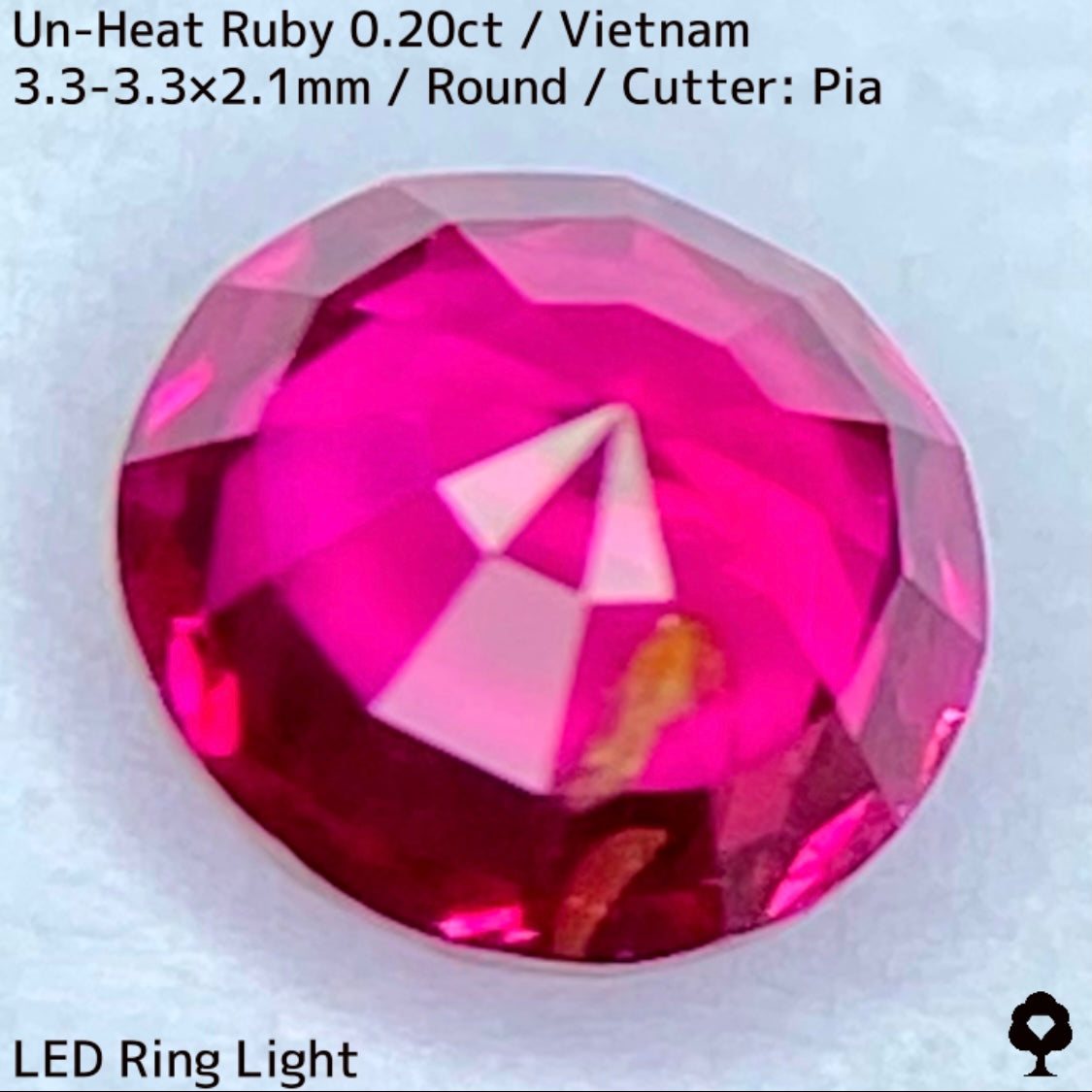 Un-Heat Ruby 0.20ct / Vietnam