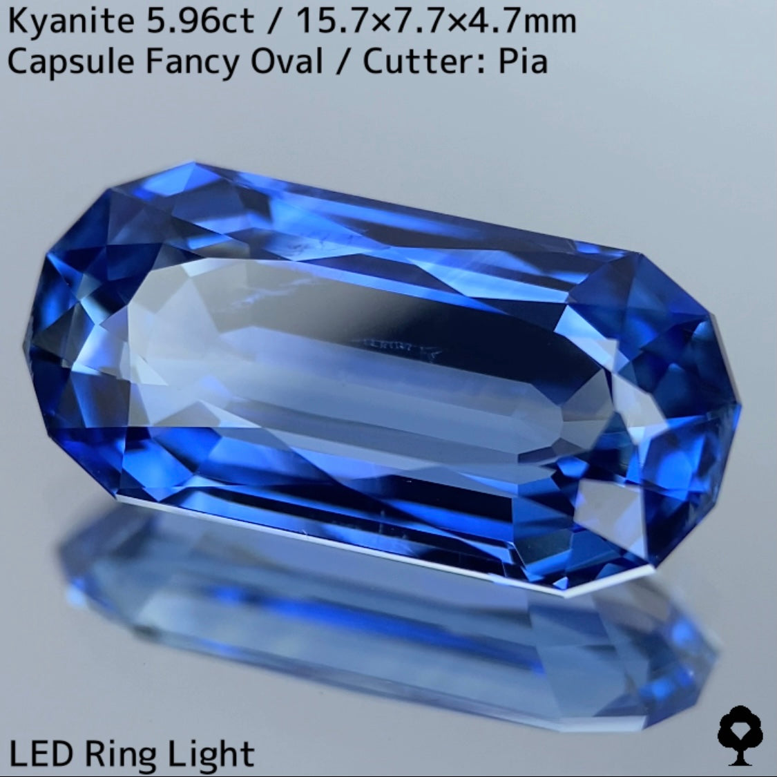 Kyanite 5.96ct / Nepal