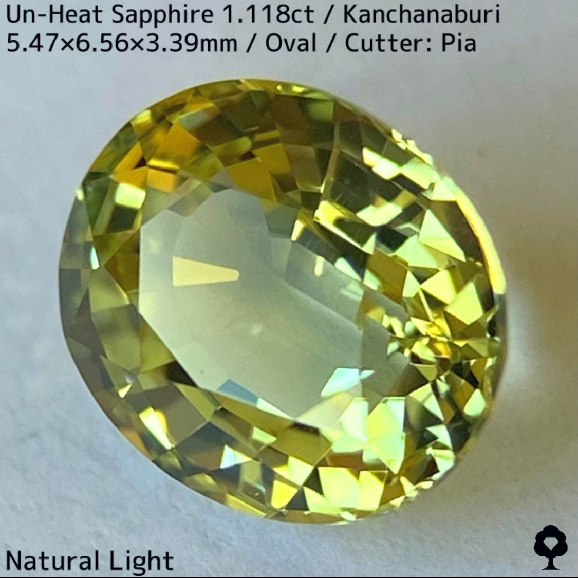 Kanchanaburi Sapphire 2Pc 2.231ct
