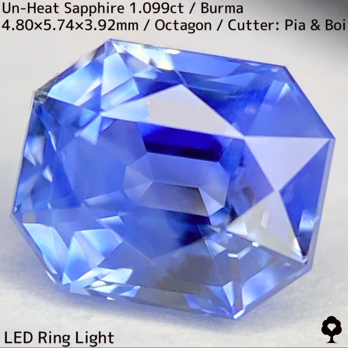 Un-Heat Sapphire 1.099ct / Burma