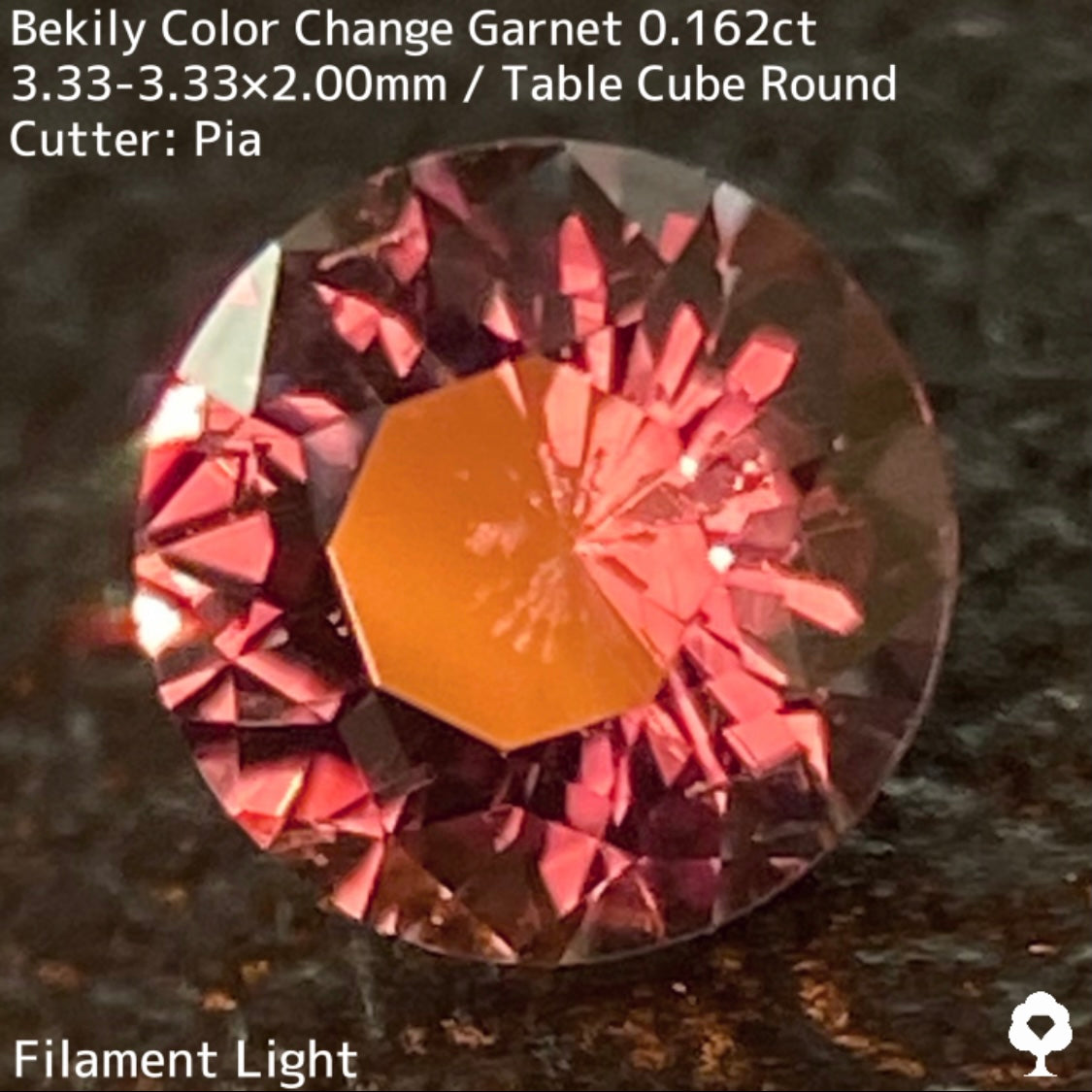 Color Change Garnet 0.162ct / Bekily(Madagascar)