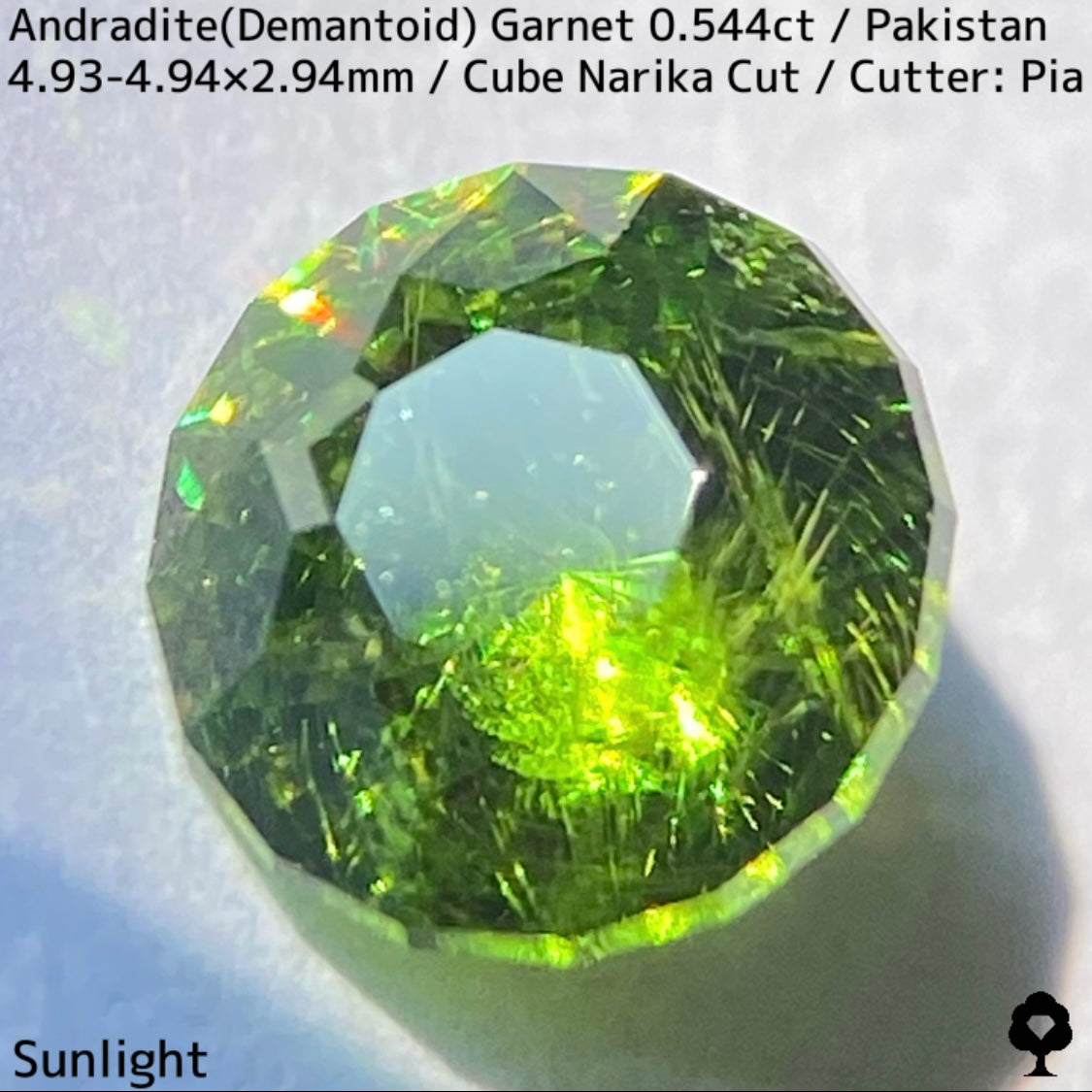 Andradite(Demantoid)0.544ct / Pakistan / Table cube Narika
