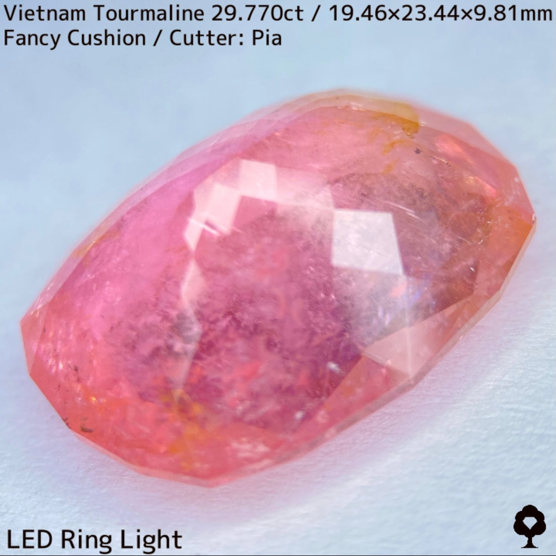 Tourmaline 29.770ct / Vietnam