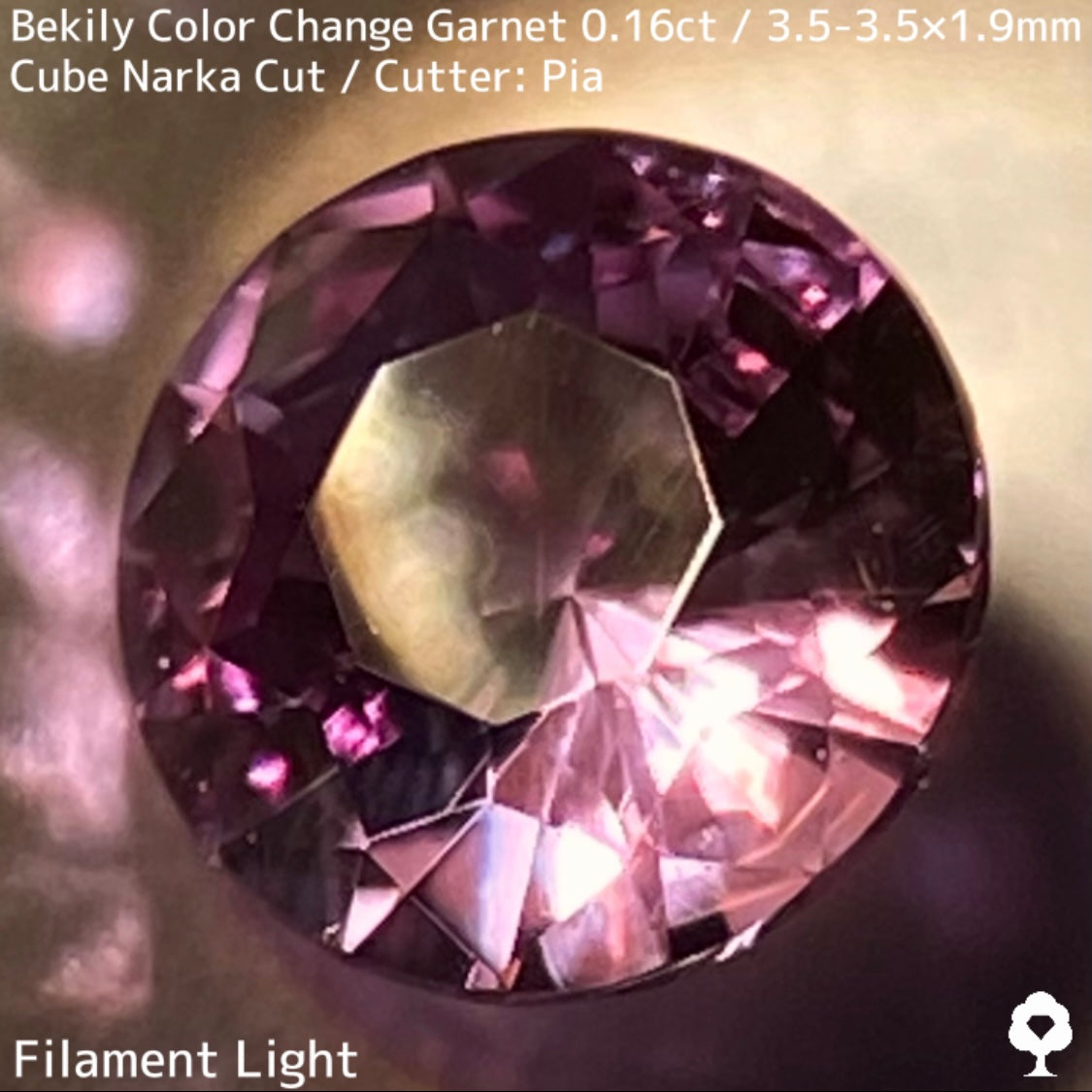 Color Change Garnet 0.161ct / Bekily(Madagascar)