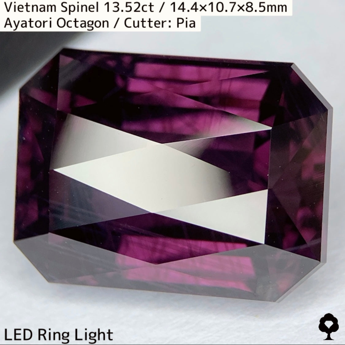 Spinel 13.52ct / Vietnam / Ayatori