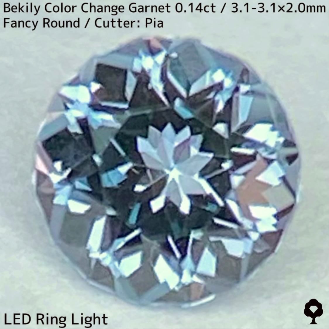 Color Change Garnet 0.14ct / Bekily(Madagascar)