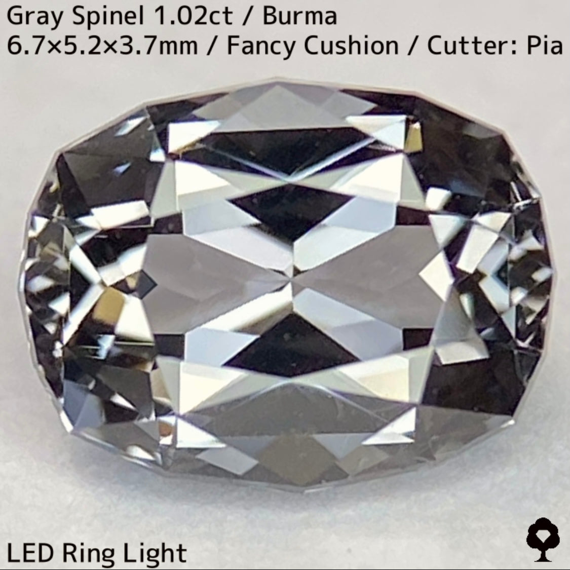 Grey Spinel 1.024ct / Burma