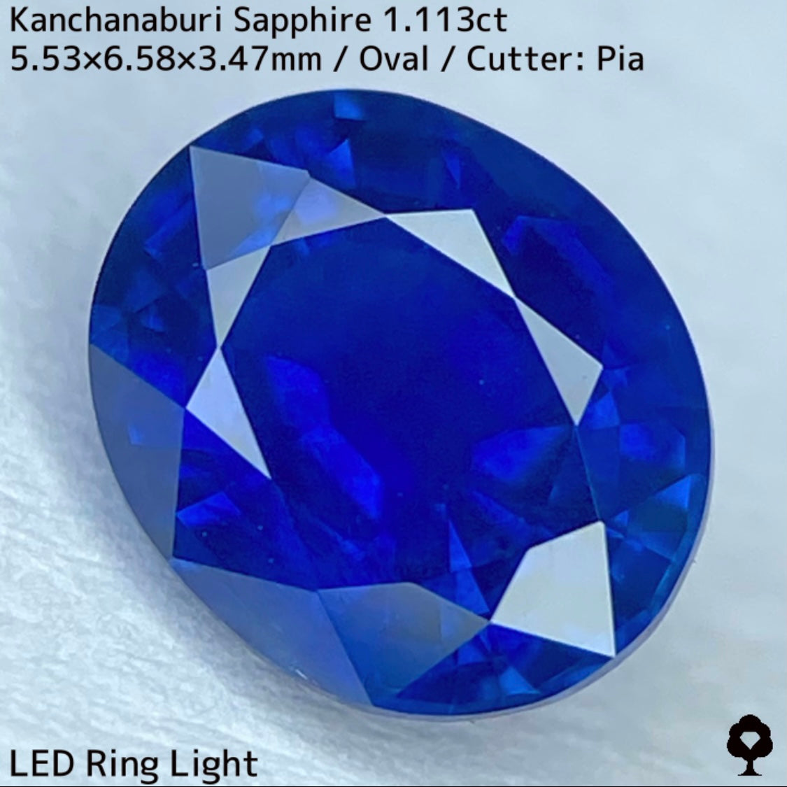 Kanchanaburi sapphire 1.113ct ★ A rare 1ct+ sapphire with a silky, slightly greenish blue color typical of Kanchanaburi