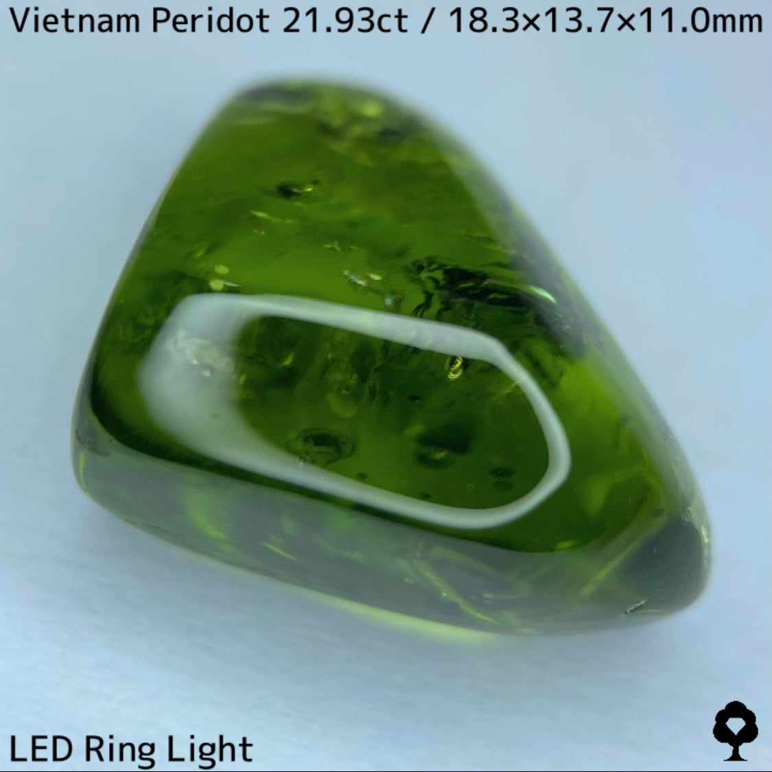 Peridot 21.93ct / Vietnam / Rough stone