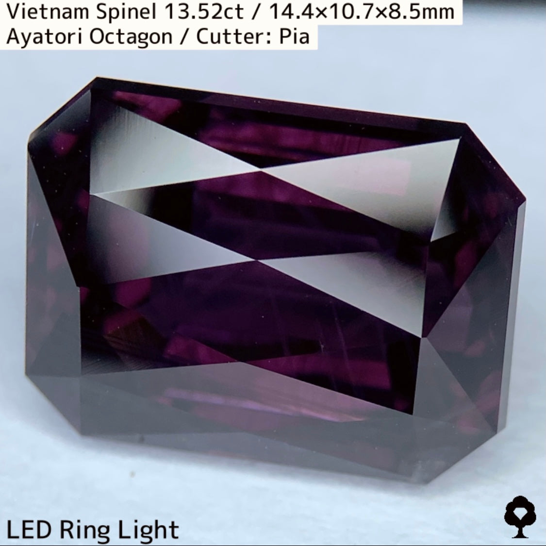 Spinel 13.52ct / Vietnam / Ayatori
