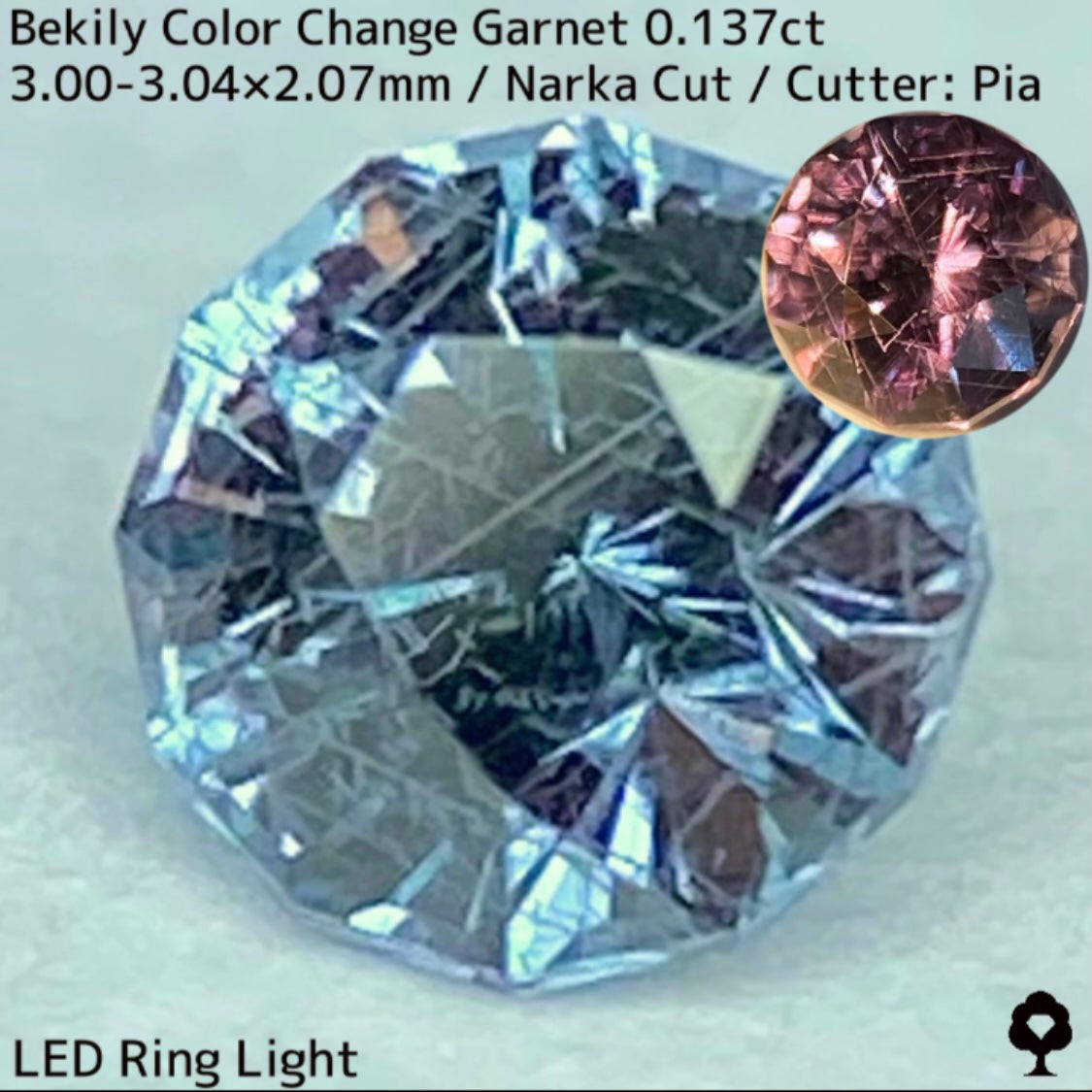 Color Change Garnet 0.137ct / Bekily(Madagascar)