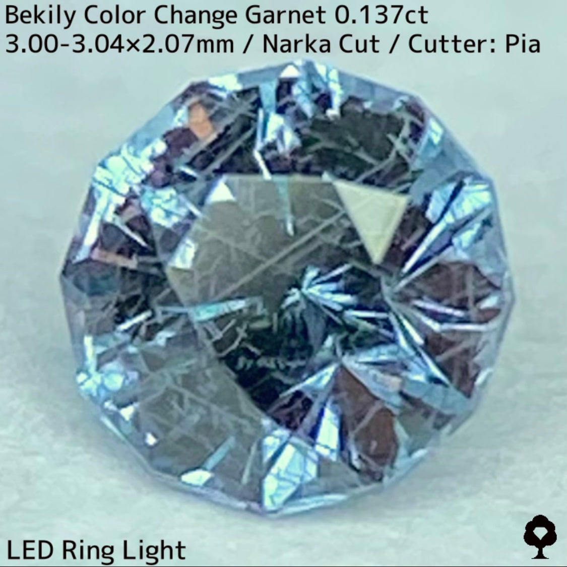Color Change Garnet 0.137ct / Bekily(Madagascar)