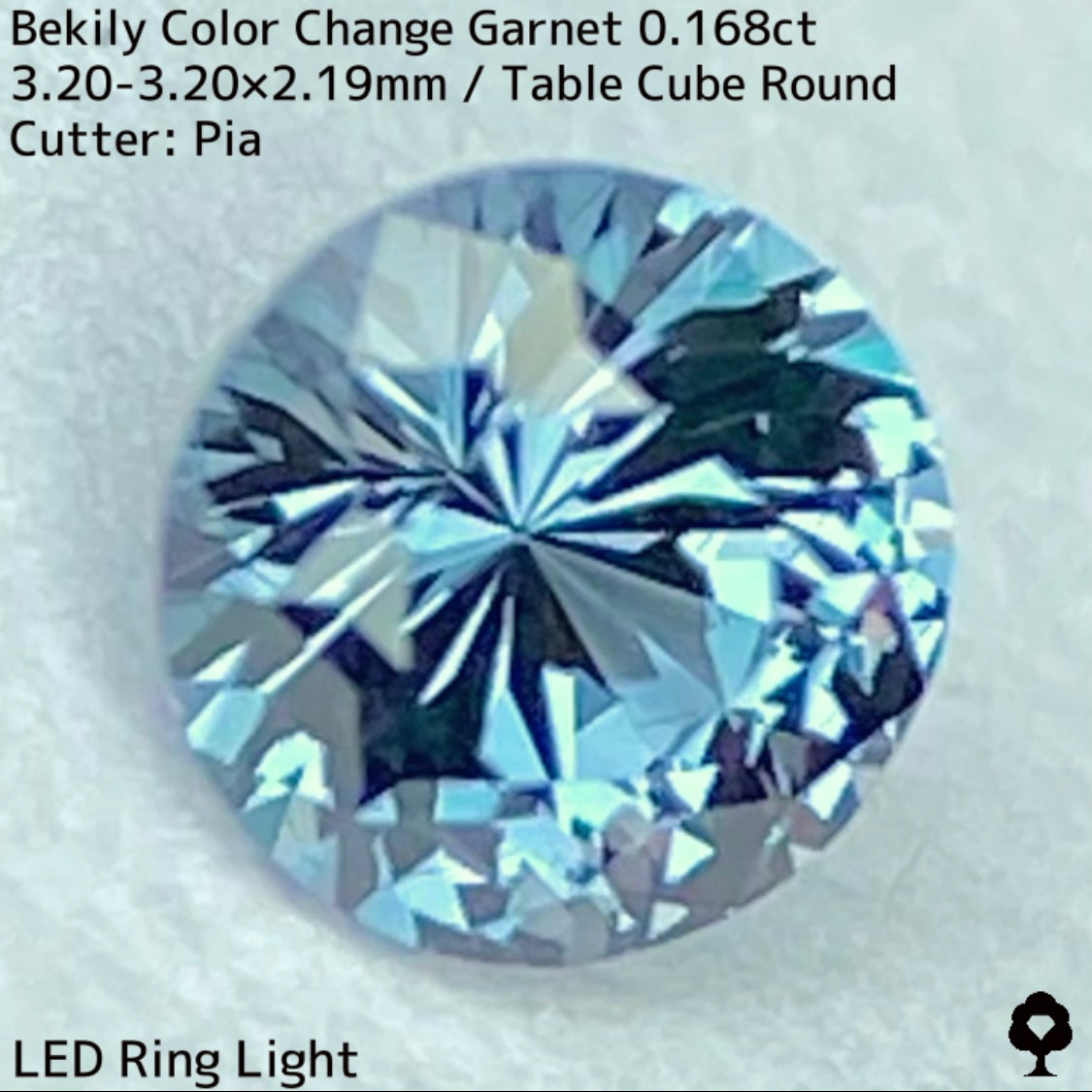 Color Change Garnet 0.168ct / Bekily(Madagascar)