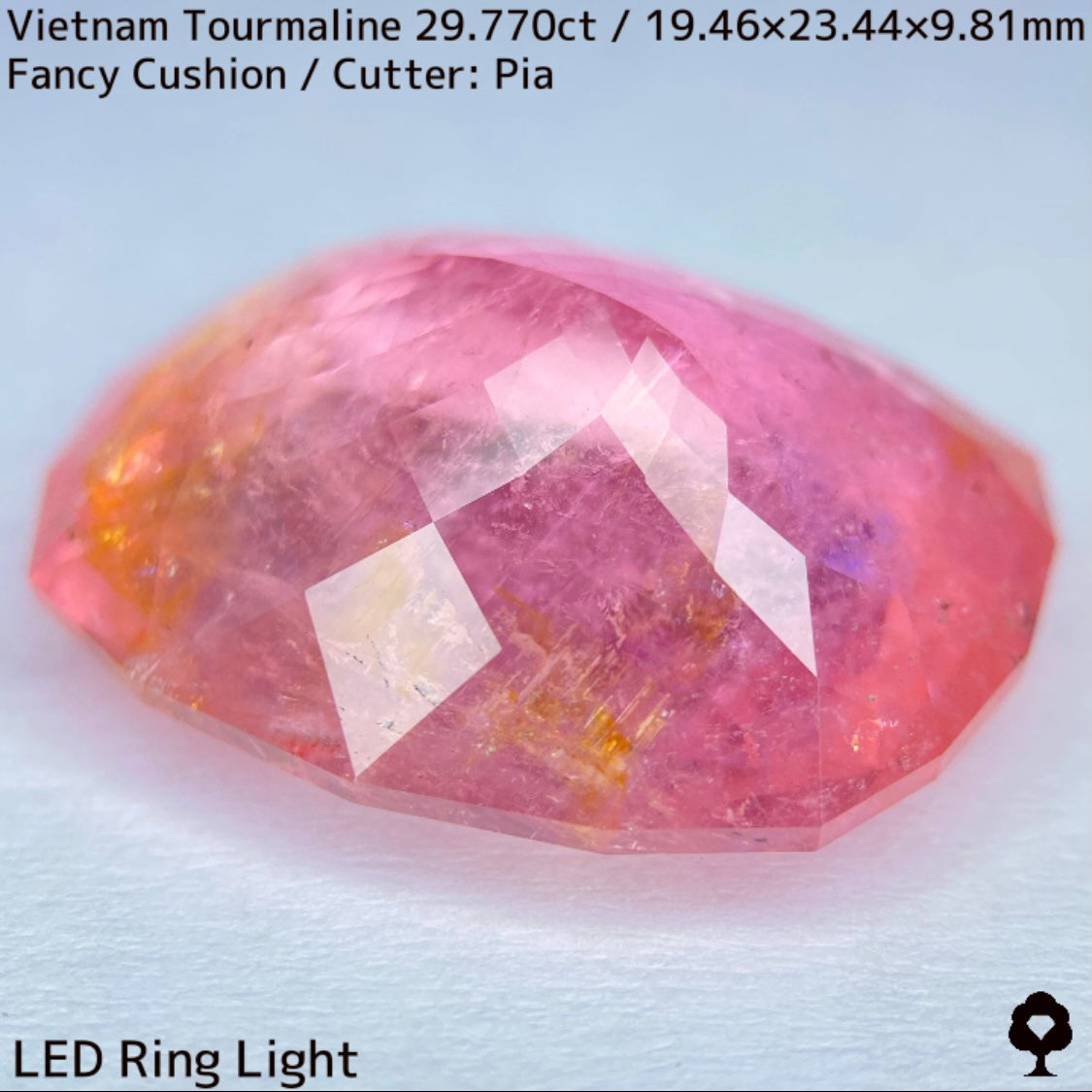 Tourmaline 29.770ct / Vietnam