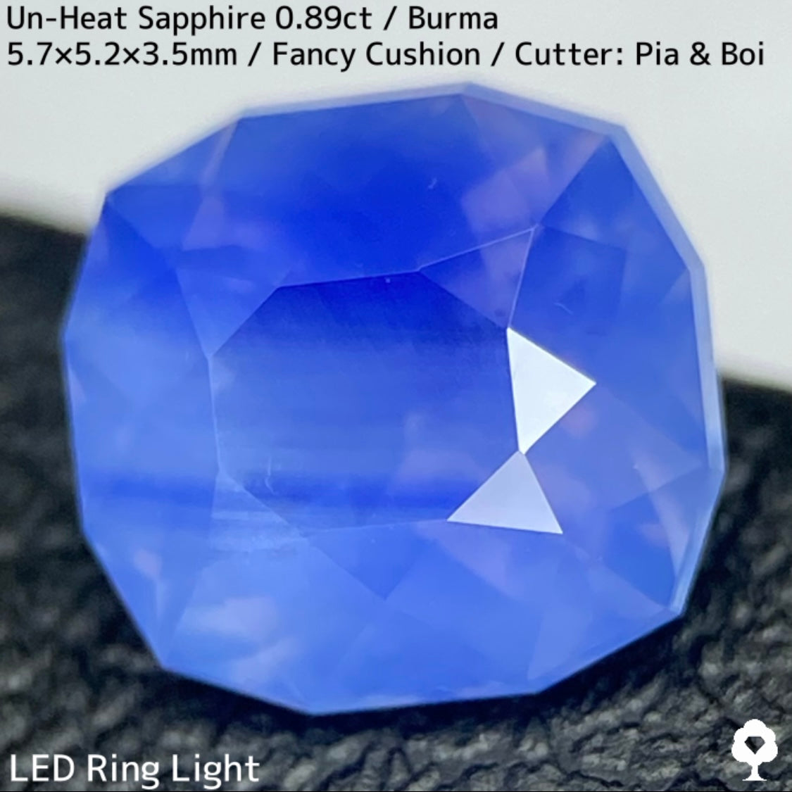 Un-Heat Sapphire 0.896ct / Burma