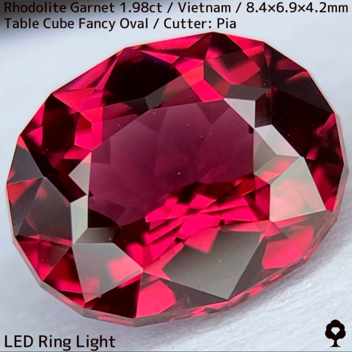 Rhodorite Garnet 1.990ct / Vietnam