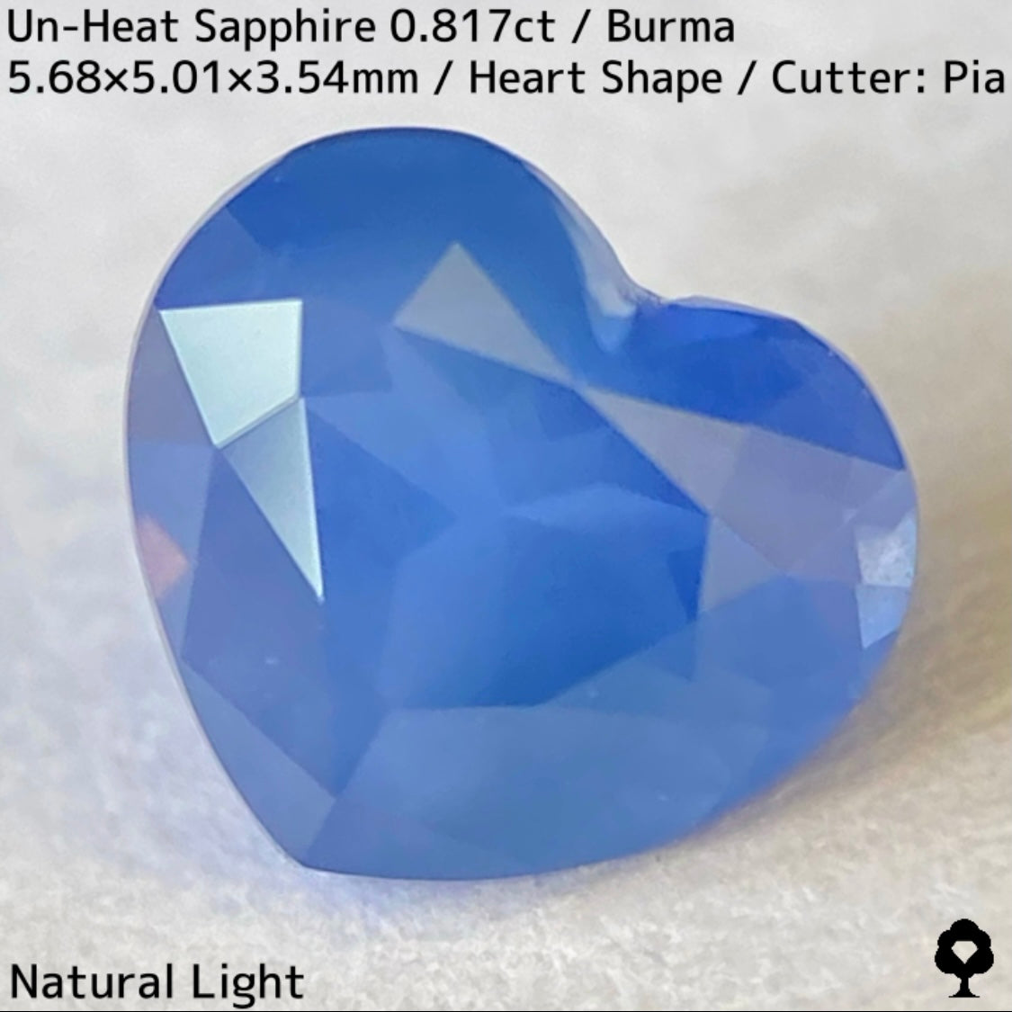 Un-Heat Sapphire 0.817ct / Burma
