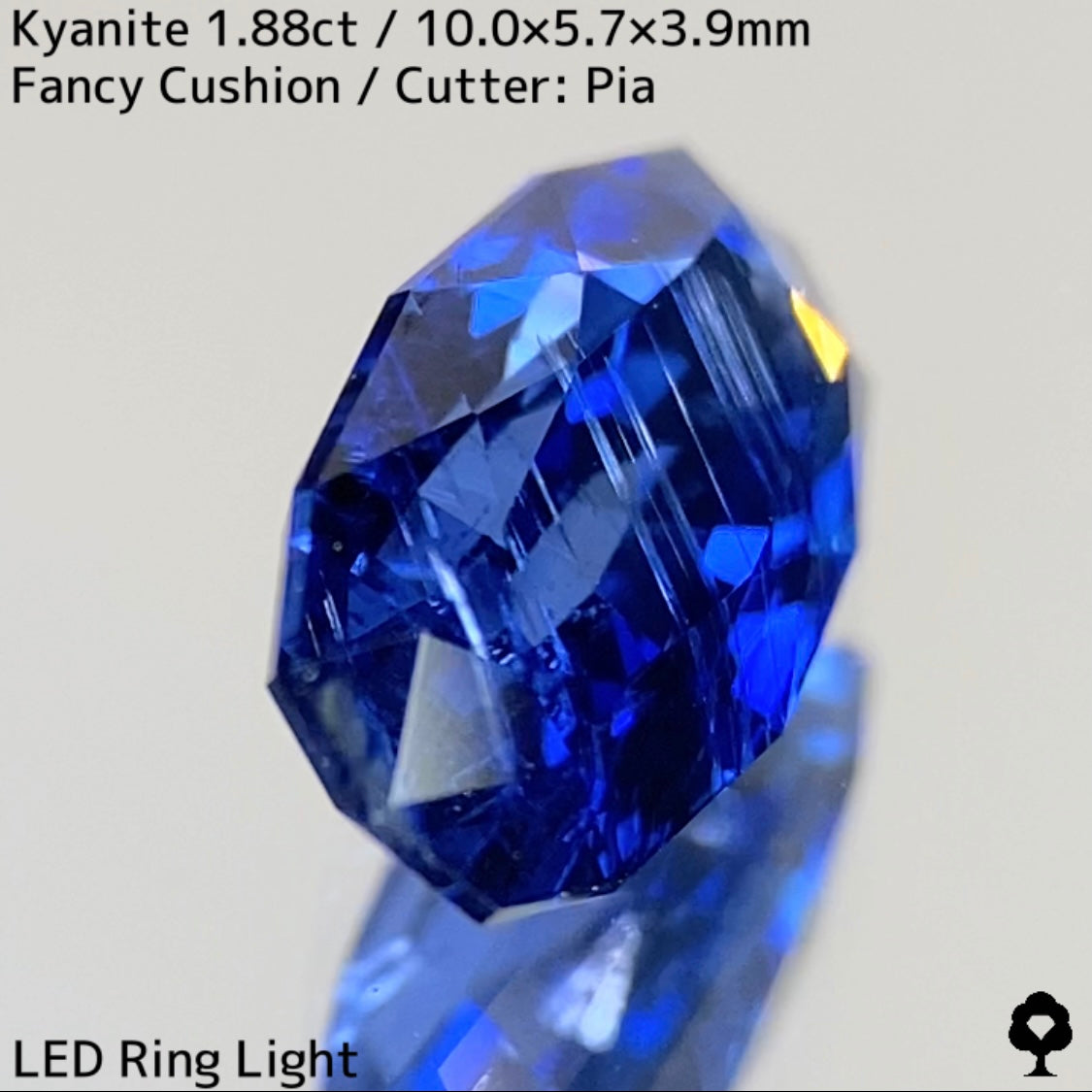 Kyanite 1.88ct / Nepal