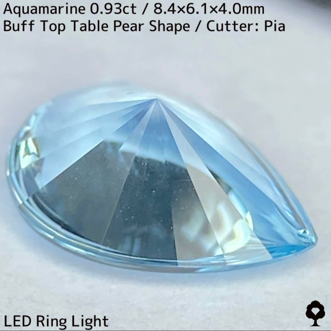 Aquamarine 0.93ct / Madagascar