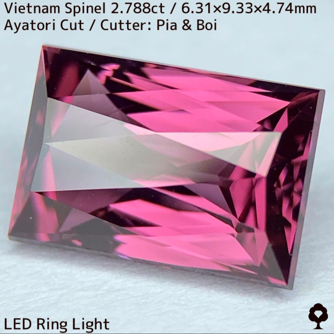 Spinel 2.788ct / Vietnam