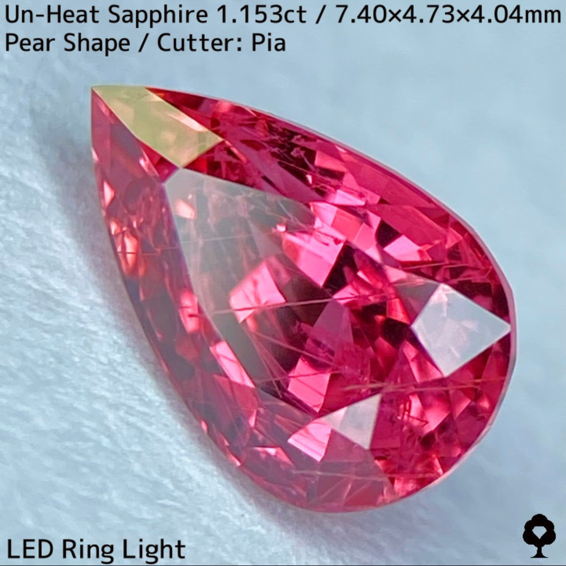 1.153ct unheated sapphire from Tanzania. Exquisite color and interesting needle inclusions like ruby, padparads, and impales.