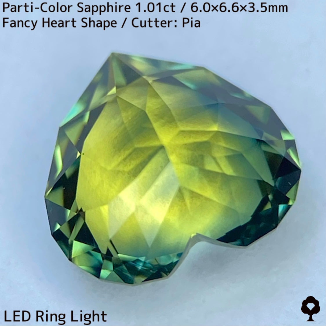 Parti-Color Sapphire 1.01ct / Thailand