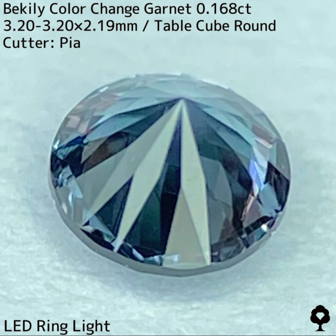 Color Change Garnet 0.168ct / Bekily(Madagascar)