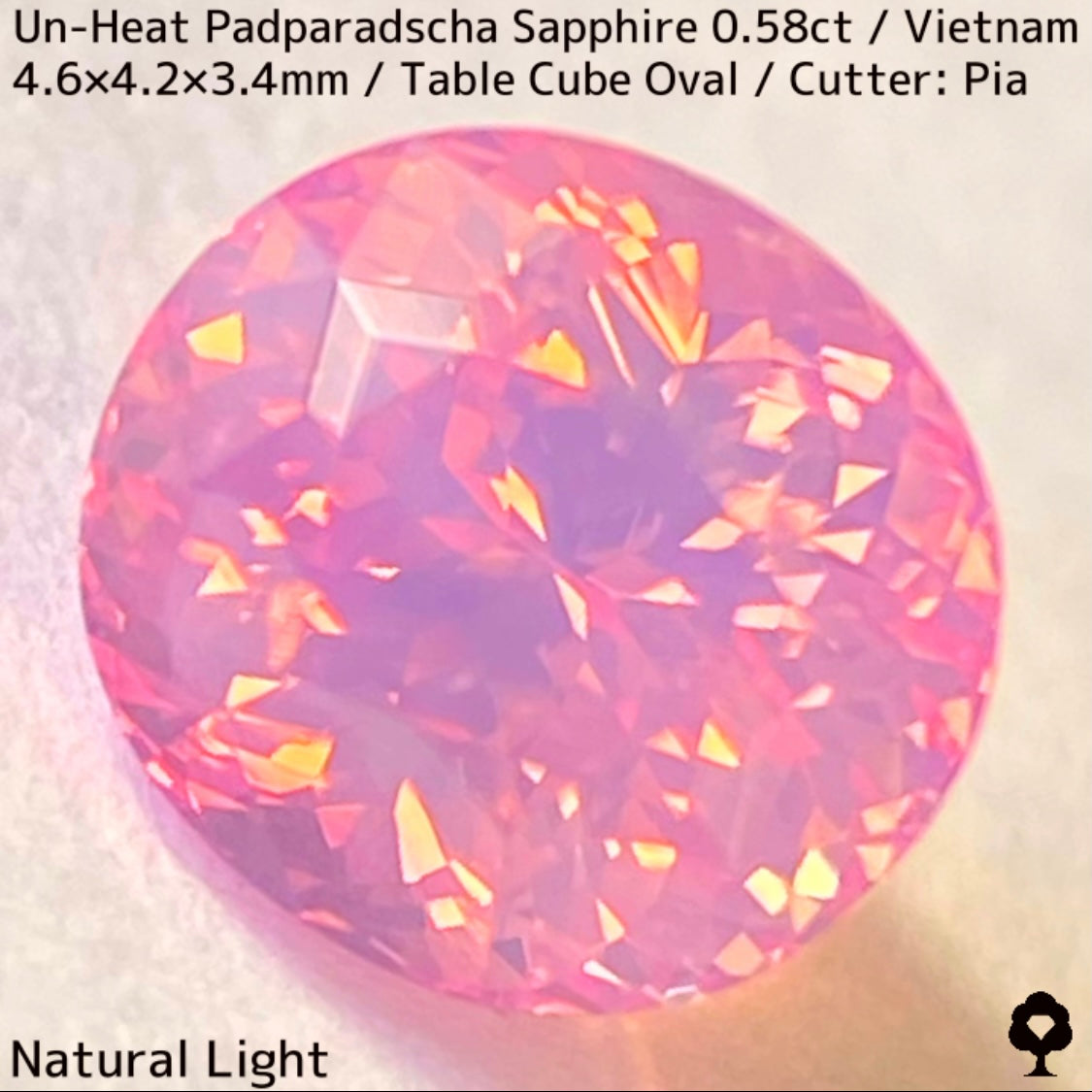 Un-Heat Padparadscha Sapphire 0.58ct / Vietnam