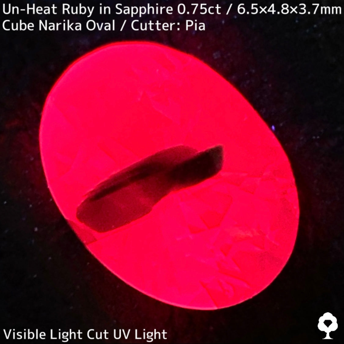 Un-Heat Parti-Color Sapphire 0.751ct / Vietnam