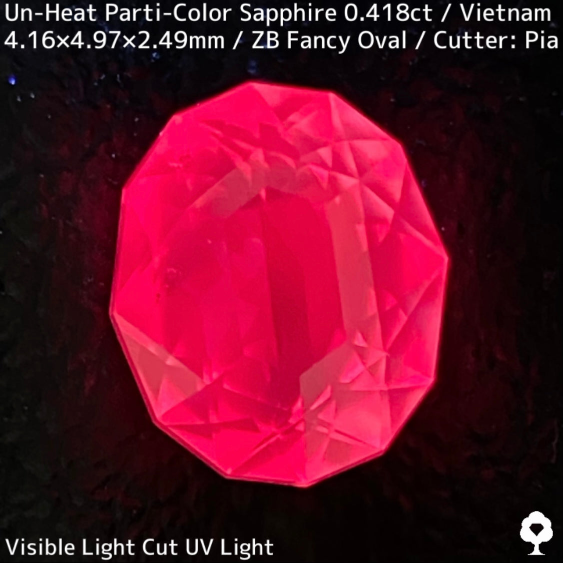 Un-Heat Parti-Color Sapphire 0.418ct/Vietnma