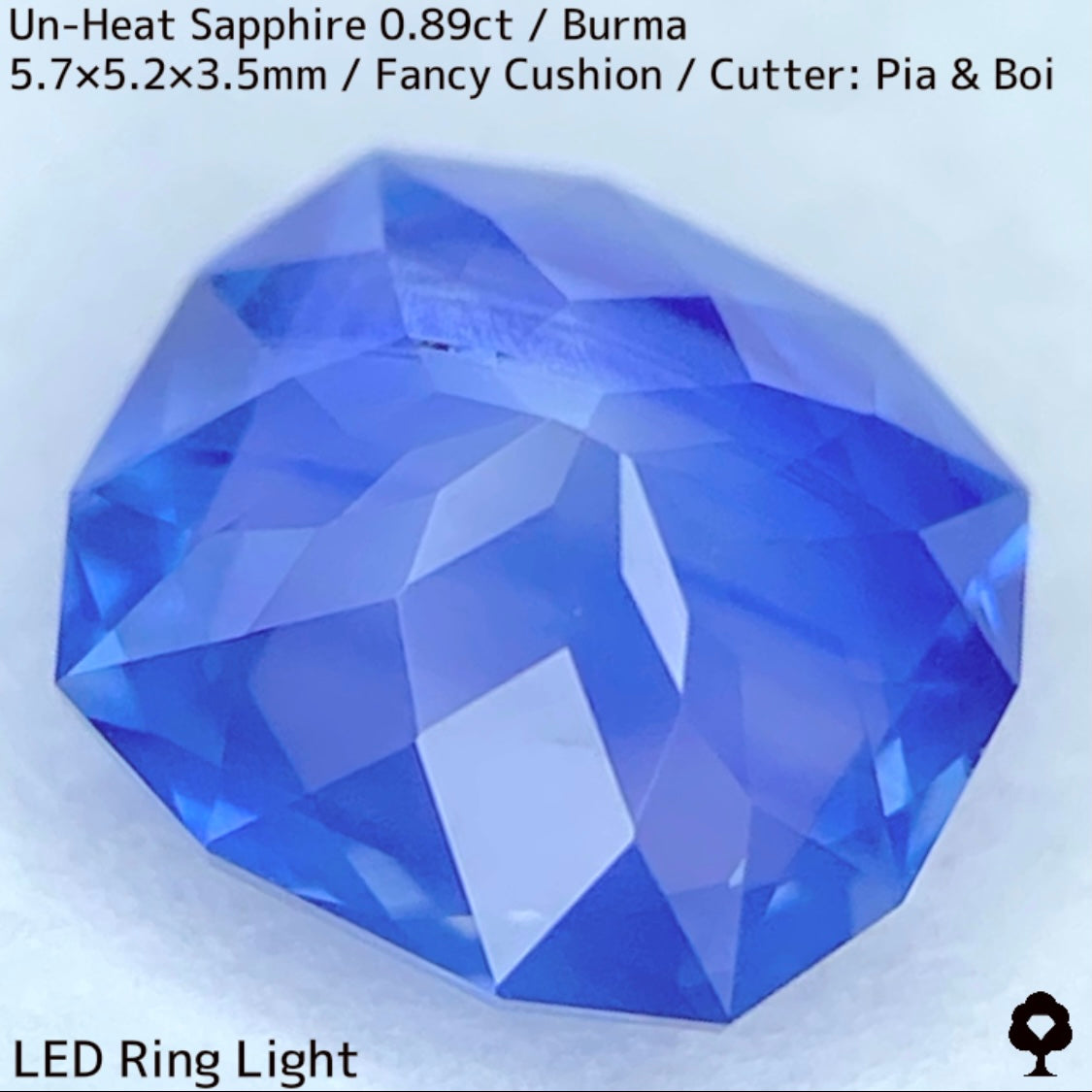 Un-Heat Sapphire 0.896ct / Burma