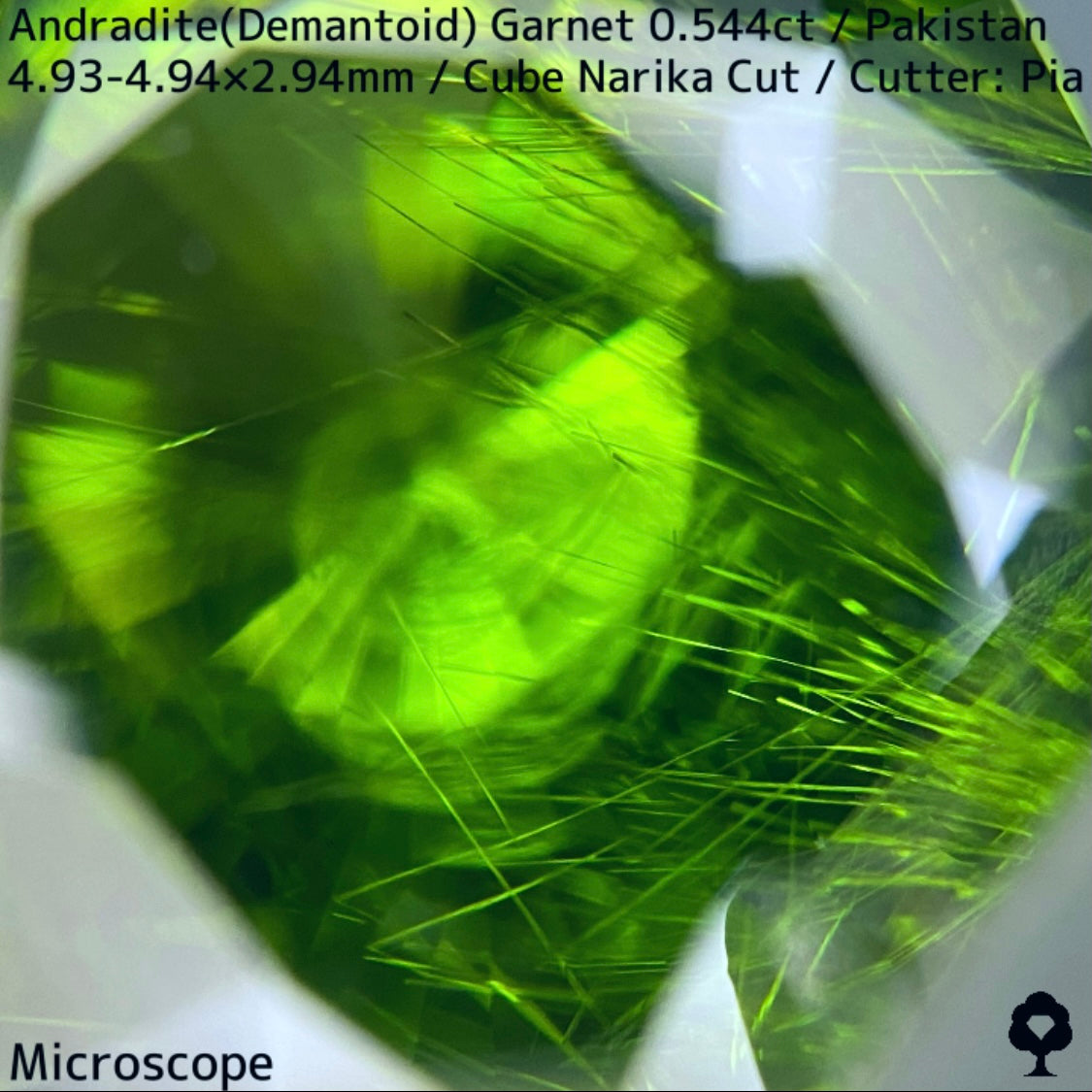 Andradite(Demantoid)0.544ct / Pakistan / Table cube Narika
