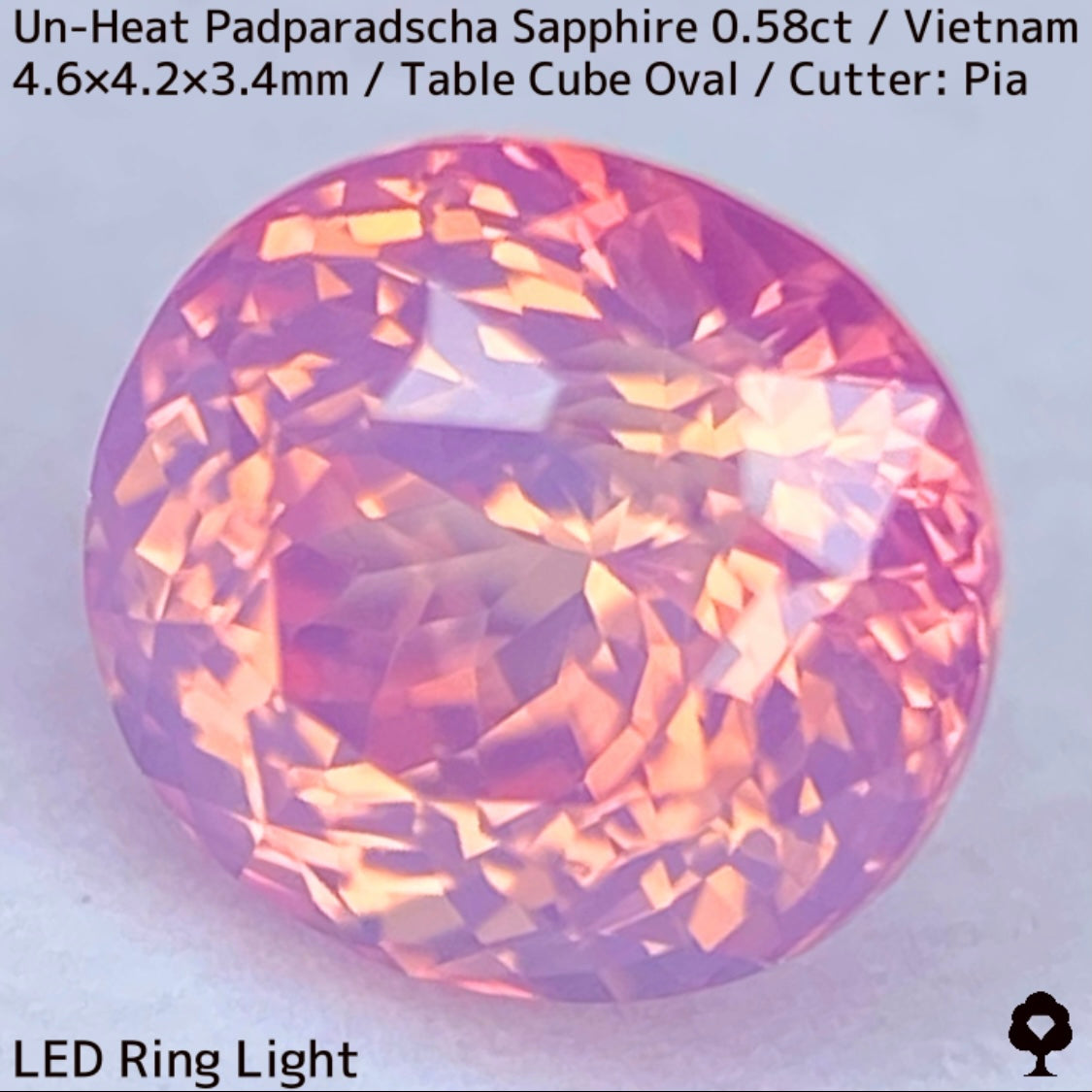 Un-Heat Padparadscha Sapphire 0.58ct / Vietnam