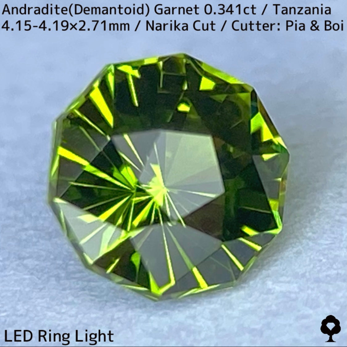 Andoradaite(Demantoid)0.341ct / Tanzania / Narika