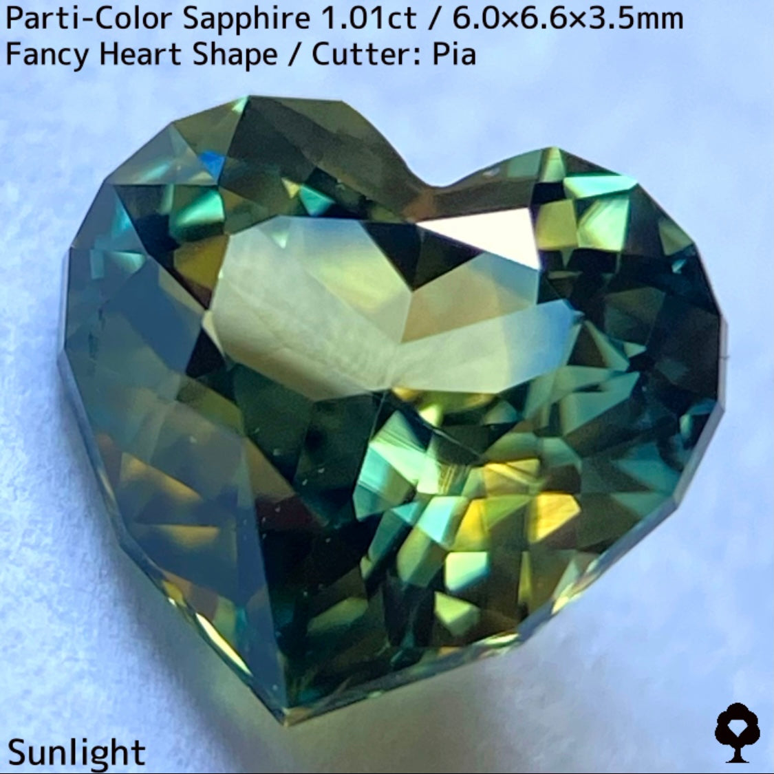 1.01ct Thai parti-colored sapphire ★ A rare fancy heart shape with a party feel that is typical of Bangkacha